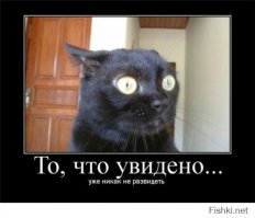 Прыжки в воду в лицах