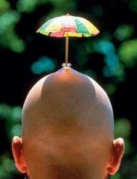 19 самых креативных и необычных зонтов этой осени