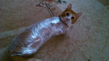 8 полезных альтернативных способов применения скотча