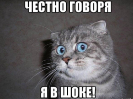 Первобытный папа