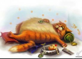 Котэ доволен)