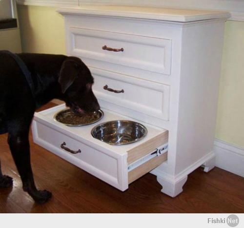 Вообще то у домашних животных ВСЕГДА должен быть доступ к миске с водой.
