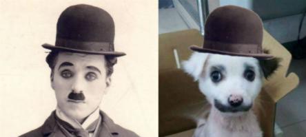 Чарли Чаплин