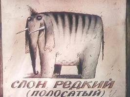 Слон полосатый, редкий, очень любит рыбий жир, при звуках флейты теряет волю...