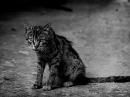 Пожалуйста. Лампу стырили, если чо.