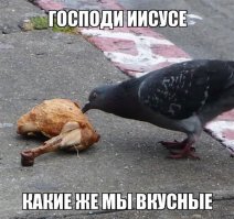 Утятина