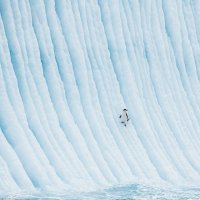 Серфингист, говоришь?