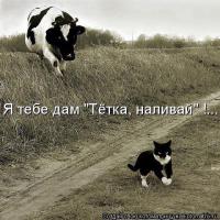 Смешные картинки с подписями