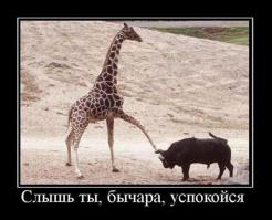 Фишкина солянка за 02.06.2014