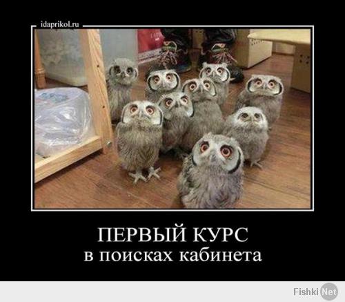 Фишкина солянка за 03.06.2014