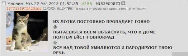 О чем на самом деле думают коты (16 фото)