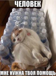 Спасение котенка
