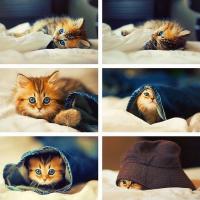 Не уходи, останься со мной