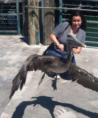 15 фотографий, на которых не всё так однозначно