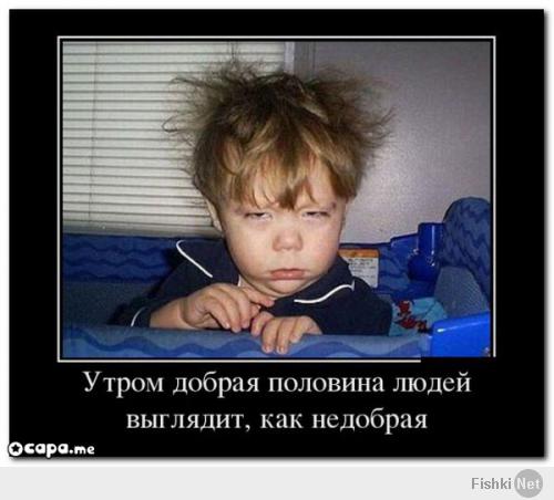 Фишкина солянка за 28.05.2014 