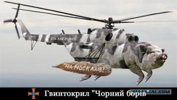 Новый укролёт.