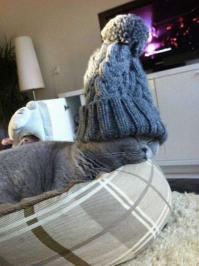 всё!отдыхаю...