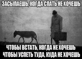подходящая картинка для утра понедельника