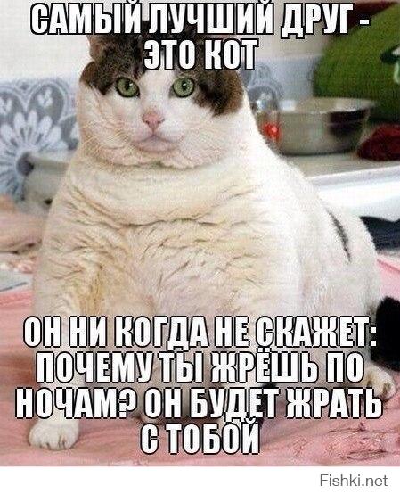 пойду,пожру с котом!:)