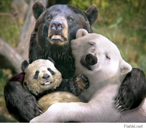 нам так гораздо больше нравится:берегите медведей!:)