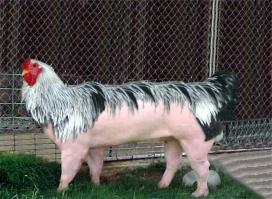 Фишкина солянка за 22.09.2014