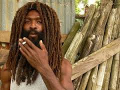 все растаманы завидуют комондору.