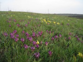 Горловка, Донбасс.