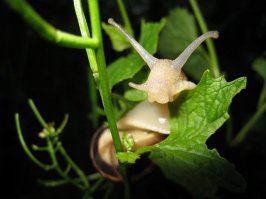 Одни из моих удачных фоток) "мужская разборка" и "ой!....Кто здесь?"