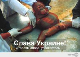 Тут все еще бандеровское говно никак не успокоиться ?