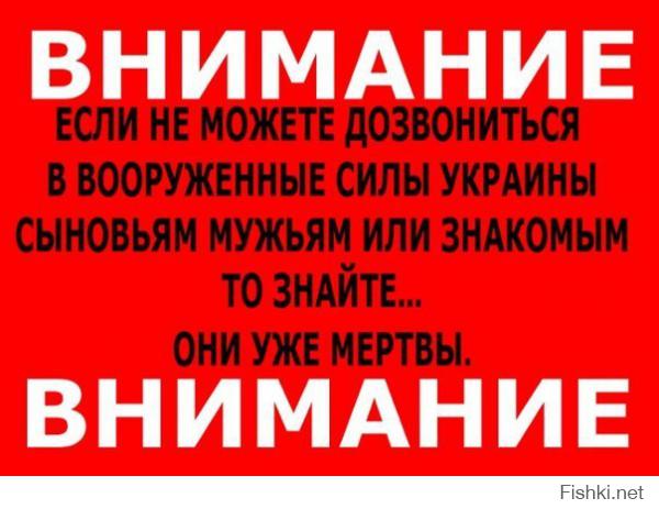 а почему ты еще не у ляжка под задом?