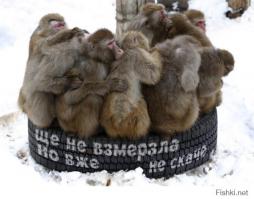 "плавает" только г@вно в проруби. ну или ты, потому что ничем не отличаешься. а мы вскоре посмотрим на то, что от страны 404 останется
сначала на такое: