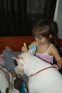 Опять с алабай хелп утащила