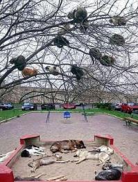 Не в тему совсем, но прикольно