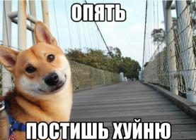 Pозыгрыш над братом