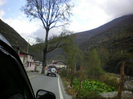 Не только в Латвии бережно относятся к деревьям, в Китае тоже ;)