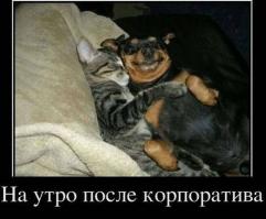 Фишкина солянка за 15.09.2014 