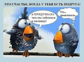 Фишкина солянка за 02.11.2014