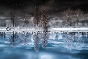 Фишкина солянка за 03.11.2014