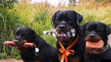 Фишкина солянка за 21.11.2014