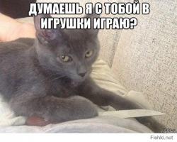 Нежданные гости