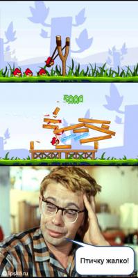 Авария дня 1605. Спас уточек