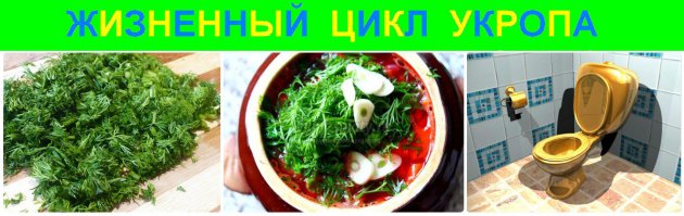 Извините но не смог пройти мимо