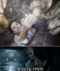 Вы когда-нибудь видели дерево с носом? 