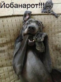 Подборка самых нелепых образов уличной моды