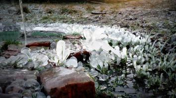 25 потрясающих ледяных скульптур, созданные самой природой