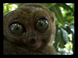 два бездонных океана глаз!