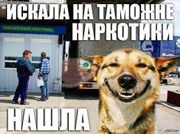 Из жизни собак