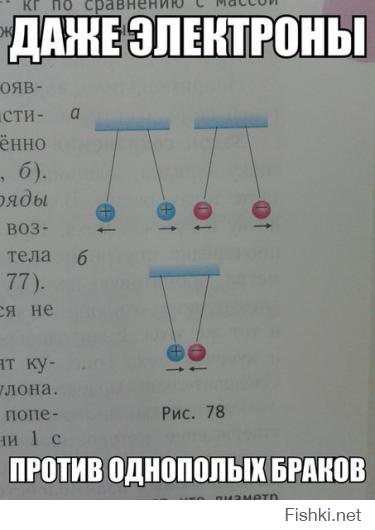 Солянка для Майдана. Часть 61