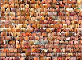 Многочисленные оттенки человеческой кожи