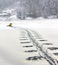 Фотоподборка за 11.12.2014